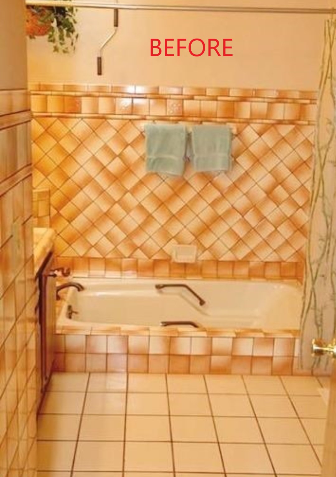 Bathroom Before Remodel
